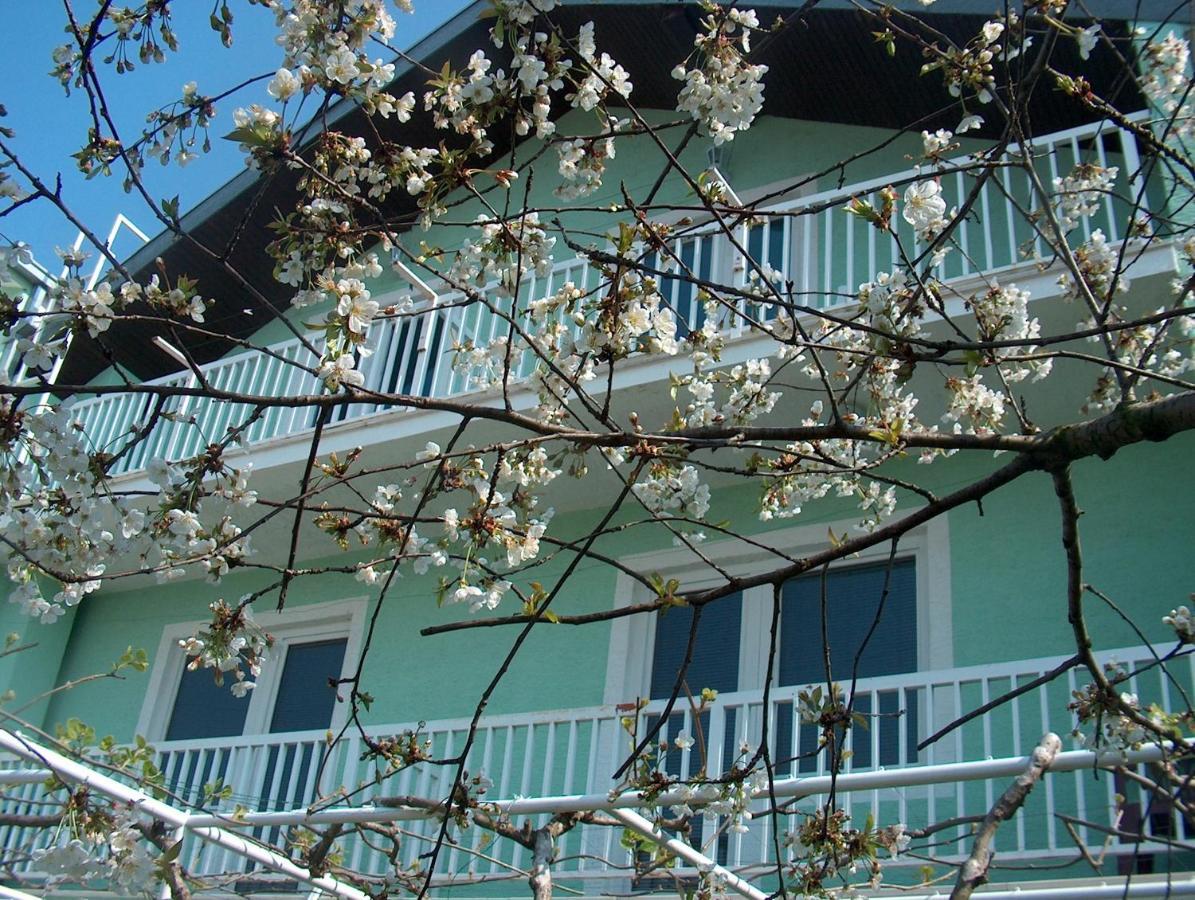 Pansion Devotions Hotel Medjugorje Luaran gambar